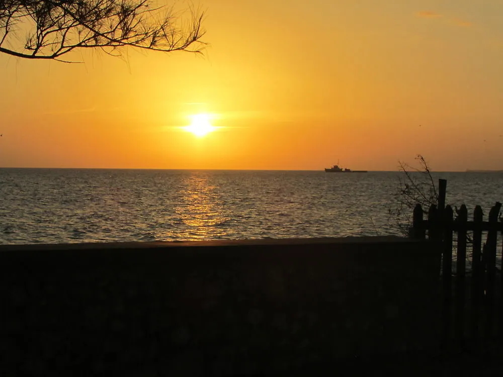 Hotell Ocho Rios Villa At Coolshade IV Saint Annʼs Bay