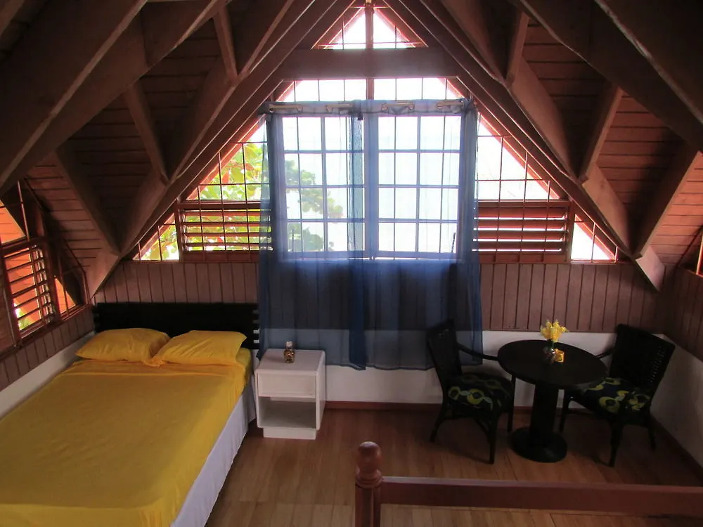 *** Hotell Ocho Rios Villa At Coolshade IV Saint Annʼs Bay Jamaica