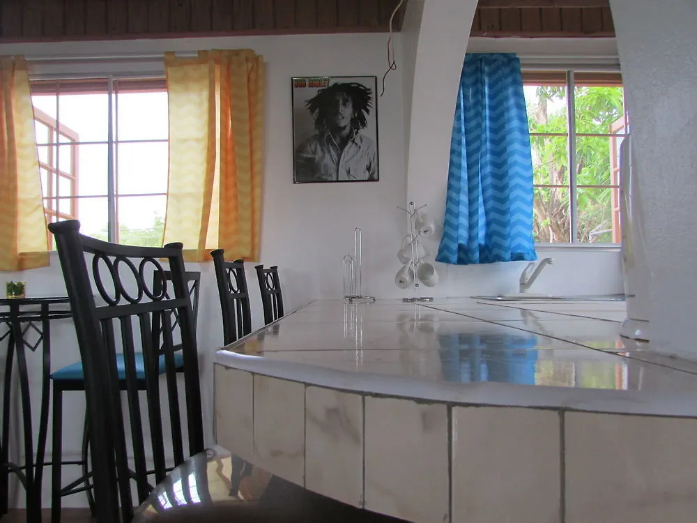 Ocho Rios Villa At Coolshade IV Saint Annʼs Bay Jamaica